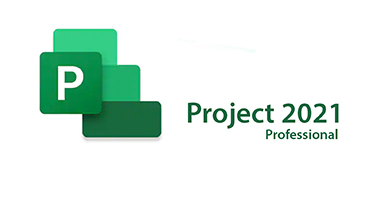 ms project 2019